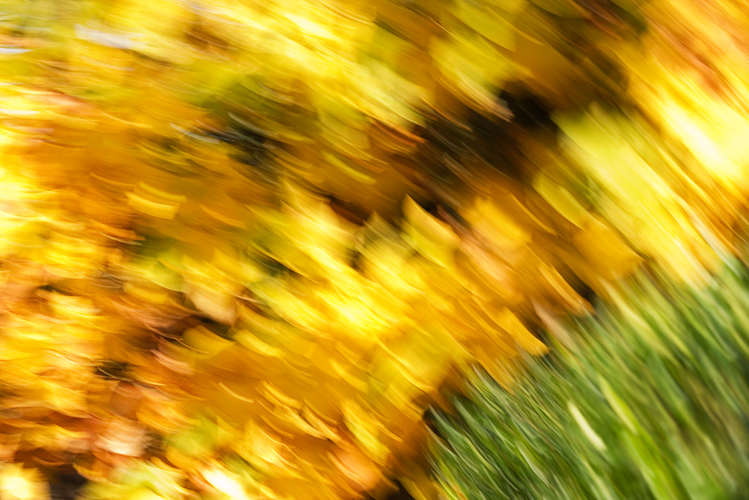 Abstract8