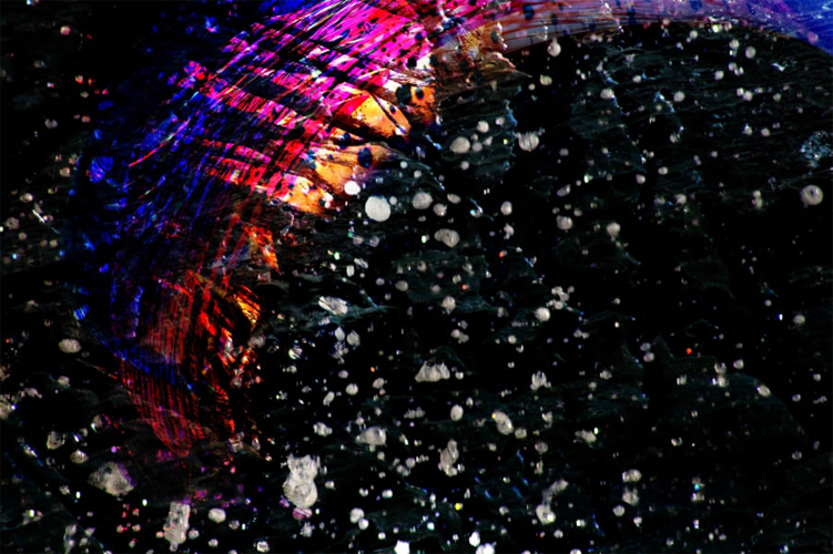 Olena Bilyk: Comet