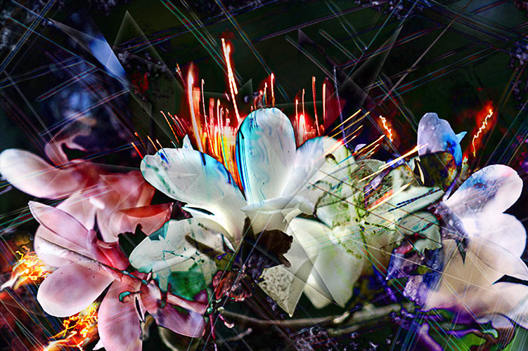 Olena Bilyk: Light